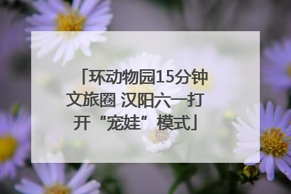 环动物园15分钟文旅圈 汉阳六一打开“宠娃”模式